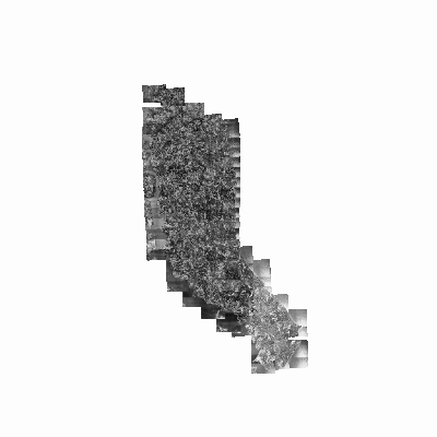 Export Image
