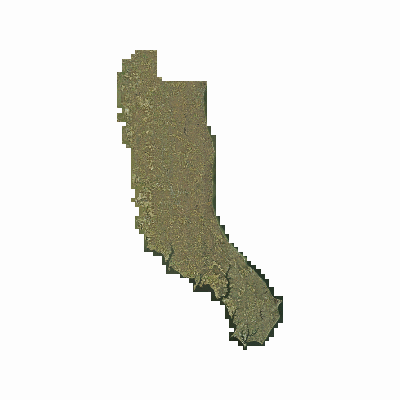 Export Image