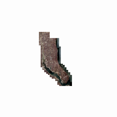 Export Image