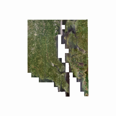 Export Image