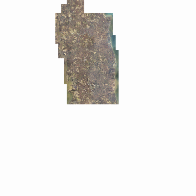 Export Image