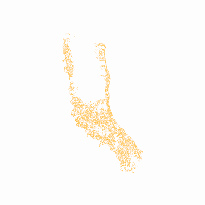 Export Image