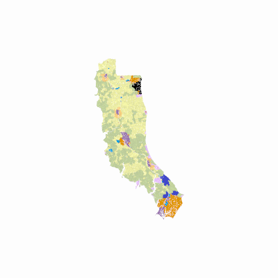 Export Image